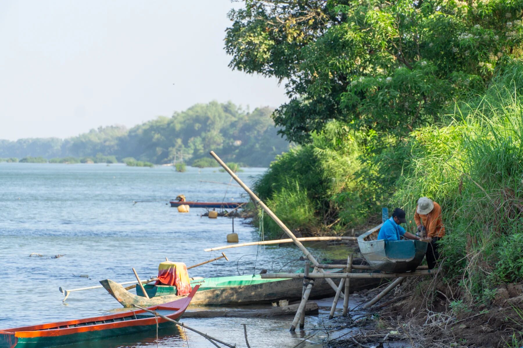 Capture the vibrant beauty of Kratie in the dry season
